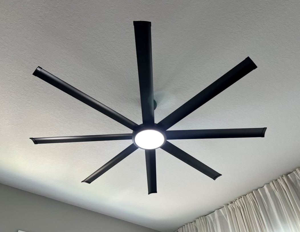 fan